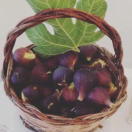 Li Monaci - - Ecobio Relais Gallipoli