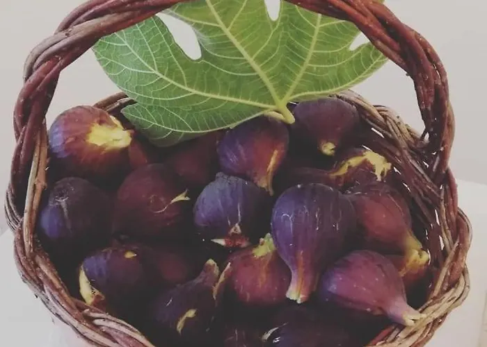 Li Monaci - - Ecobio Relais غالّيبولي